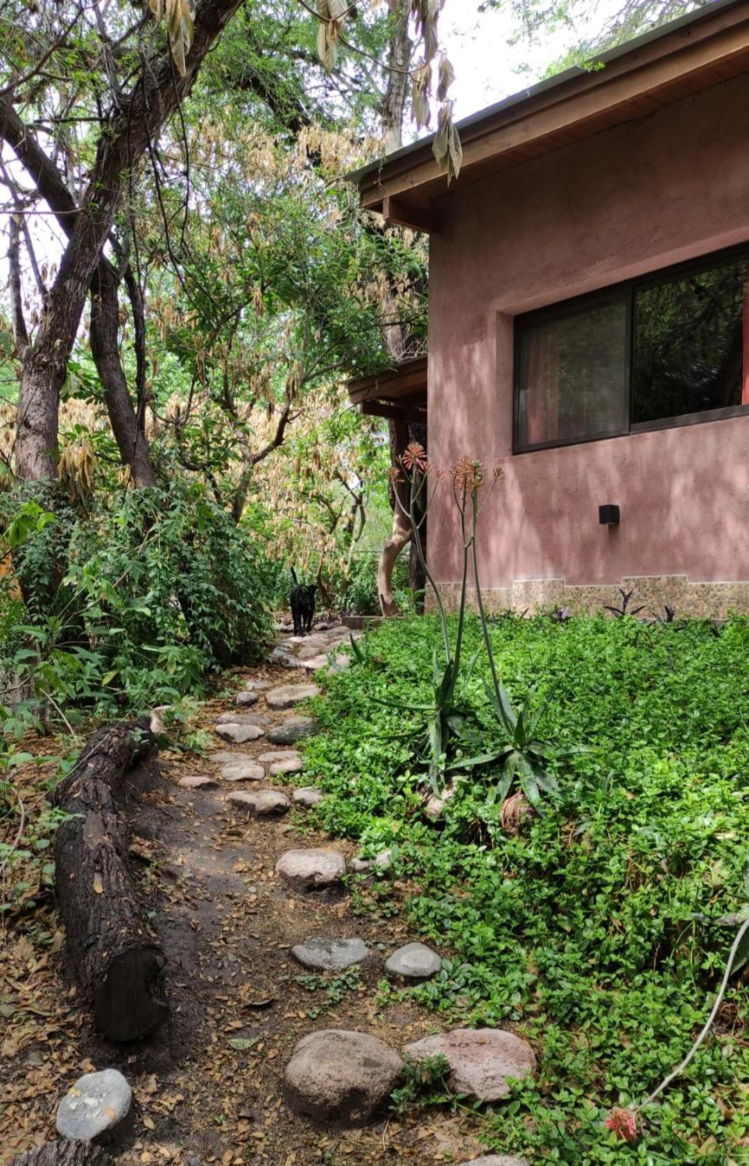 Casa Luz Y Armonia Apartment Villa Las Rosas Exterior photo